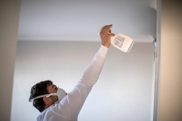 Certified Mold Removal in Urbandale, IA
