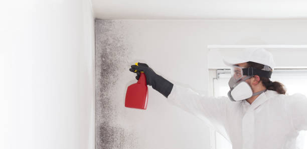 Best Mold Testing  in Urbandale, IA
